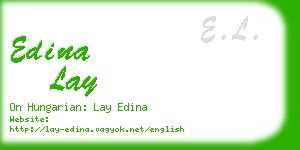 edina lay business card